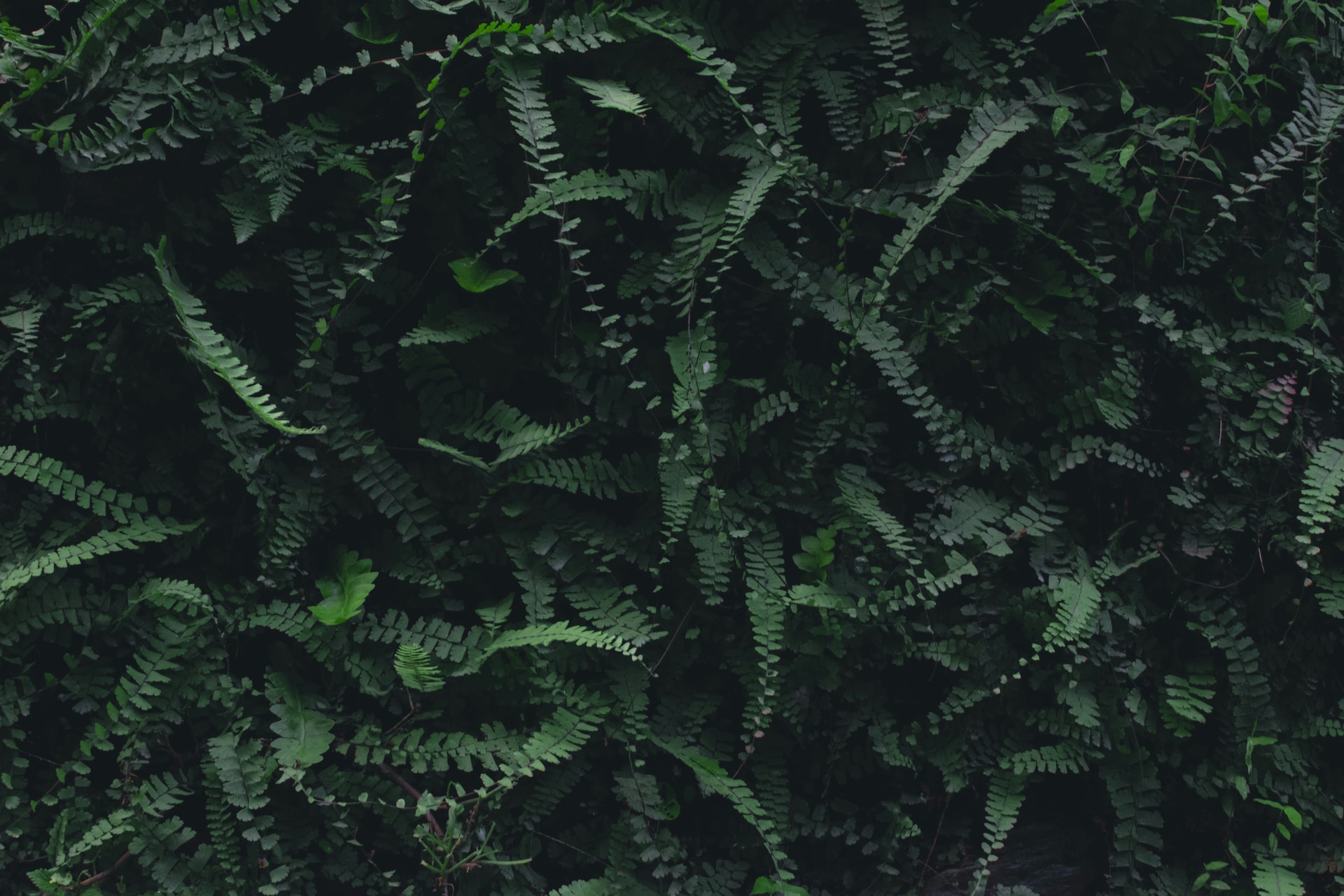 Light background texture